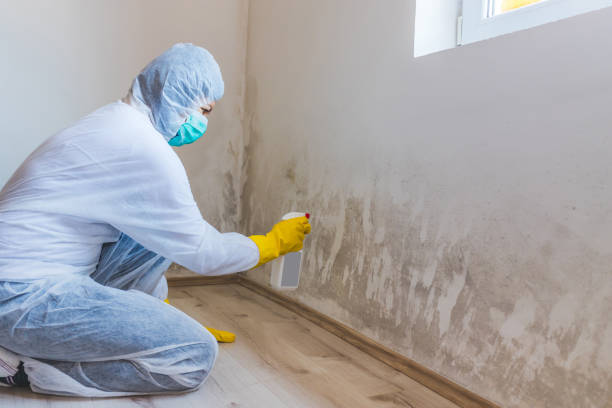 Commercial Mold Remediation assessment for commercial property in Angier